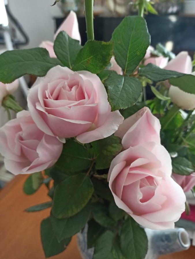 Al Quindici Scilla B&B 외부 사진